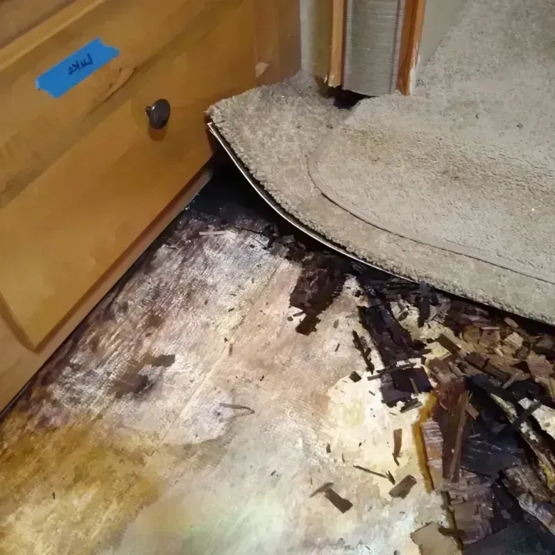 Best Wood Floor Water Damage Service in Liberty County, GA